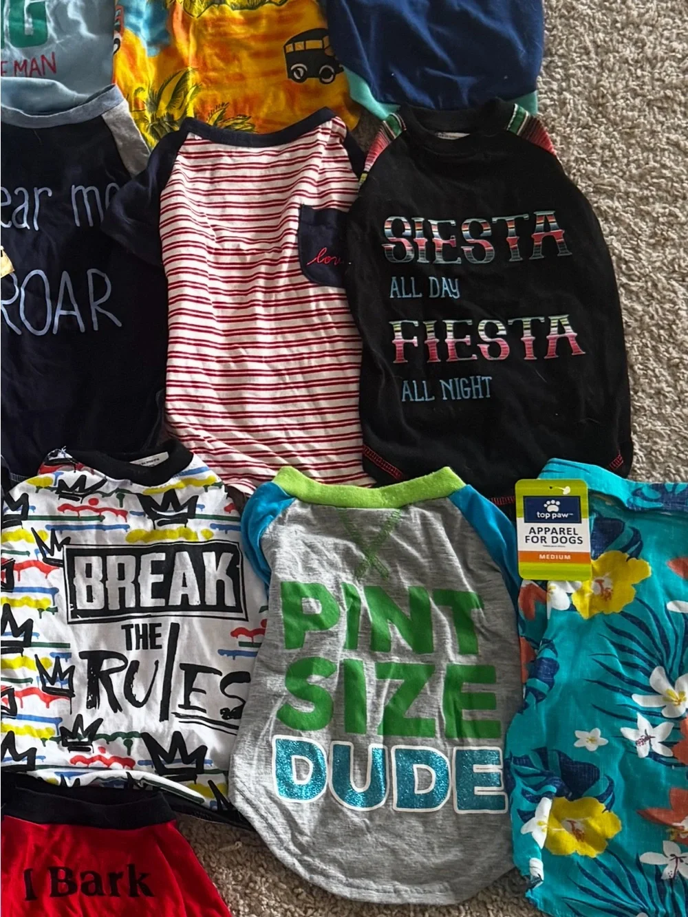 Mixed Graphic Tee & Tank Lot - Multicolor Bundle